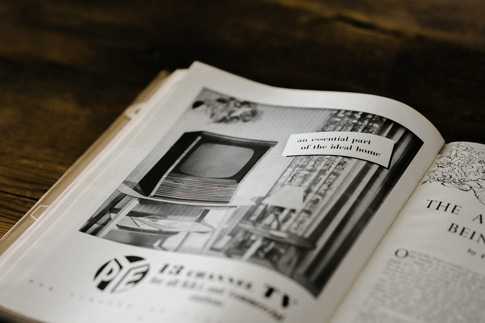 Studio Artwise Appears In Ted Talks, New Delhi